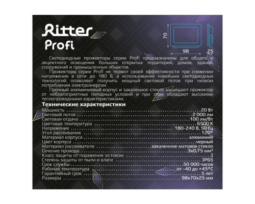 Прожектор уличный PROFI 53406 2 Ritter