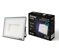 Прожектор уличный PROFI 53409 3 Ritter