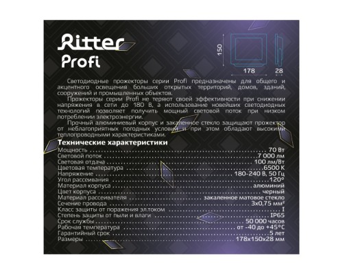 Прожектор уличный PROFI 53409 3 Ritter