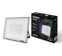 Прожектор уличный PROFI 53410 9 Ritter