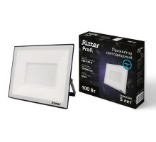 Прожектор уличный PROFI 53410 9 Ritter