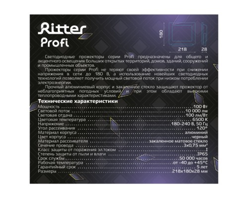 Прожектор уличный PROFI 53410 9 Ritter