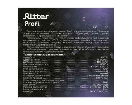 Прожектор уличный PROFI 53411 6 Ritter