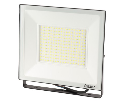 Прожектор уличный PROFI 53411 6 Ritter