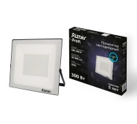 Прожектор уличный PROFI 53413 0 Ritter