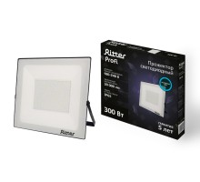 Прожектор уличный PROFI 53413 0 Ritter
