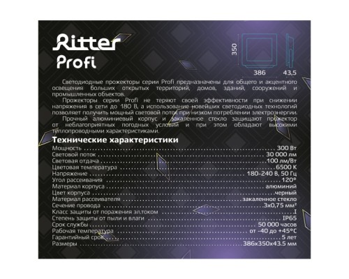 Прожектор уличный PROFI 53413 0 Ritter
