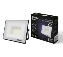 Прожектор уличный PROFI 53416 1 Ritter