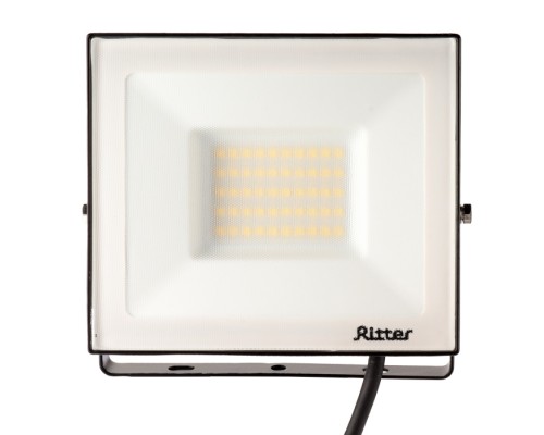 Прожектор уличный PROFI 53417 8 Ritter