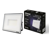 Прожектор уличный PROFI 53418 5 Ritter