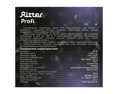 Прожектор уличный PROFI 53418 5 Ritter