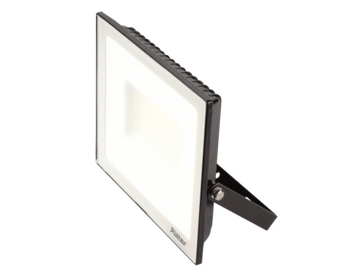 Прожектор уличный PROFI 53418 5 Ritter