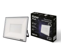 Прожектор уличный PROFI 53419 2 Ritter