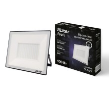 Прожектор уличный PROFI 53419 2 Ritter