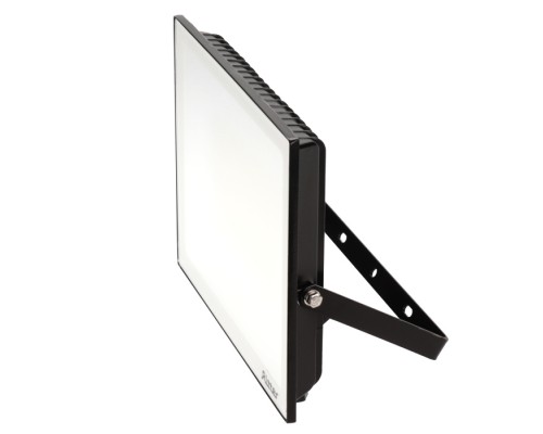 Прожектор уличный PROFI 53419 2 Ritter