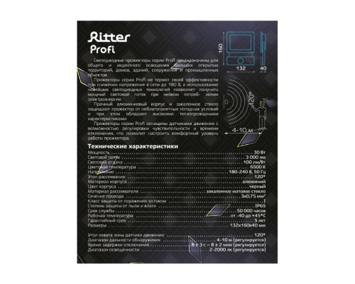 Прожектор уличный PROFI 53421 5 Ritter