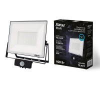 Прожектор уличный PROFI 53424 6 Ritter