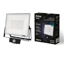 Прожектор уличный PROFI 53424 6 Ritter