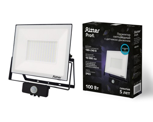 Прожектор уличный PROFI 53424 6 Ritter