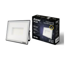 Прожектор уличный PROFI 53429 1 Ritter