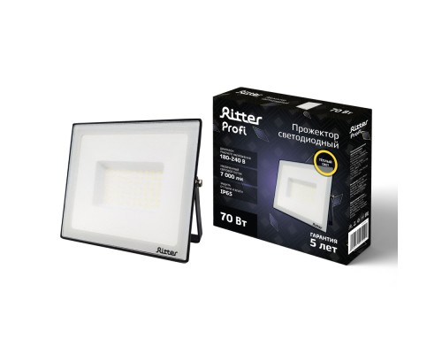 Прожектор уличный PROFI 53429 1 Ritter