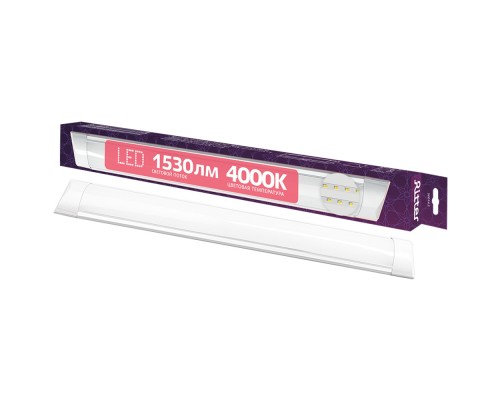 Настенно-потолочный светильник  56014 2 Ritter