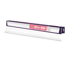 Настенно-потолочный светильник  56015 9 Ritter