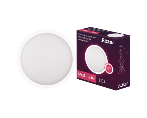 Настенно-потолочный светильник  56024 1 Ritter