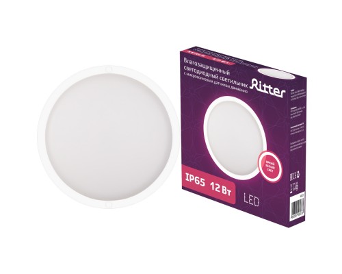 Настенно-потолочный светильник  56033 3 Ritter