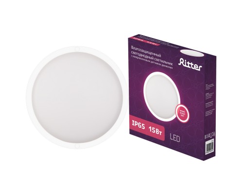 Настенно-потолочный светильник  56034 0 Ritter