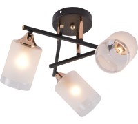 Потолочная люстра Fiona 3163-303 Rivoli