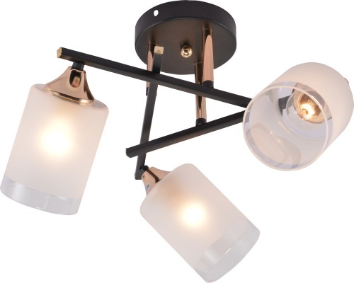 Потолочная люстра Fiona 3163-303 Rivoli