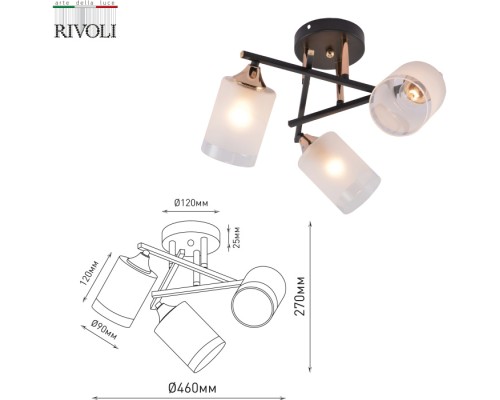 Потолочная люстра Fiona 3163-303 Rivoli