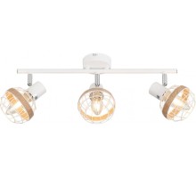 Спот Anselma 7034-703 Rivoli