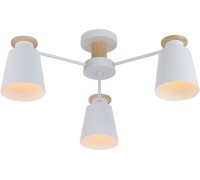 Потолочная люстра Adna 9112-303 Rivoli