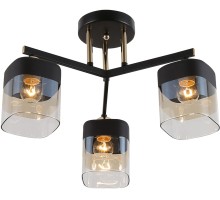 Потолочная люстра Isadora 9133-303 Rivoli