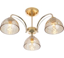 Потолочная люстра Terri 9172-303 Rivoli