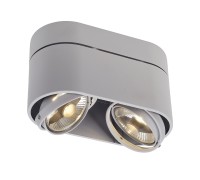 Потолочный светильник Cardamod 117184 SLV