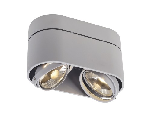 Потолочный светильник Cardamod 117184 SLV