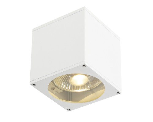 Настенный светильник уличный Big 229561 SLV