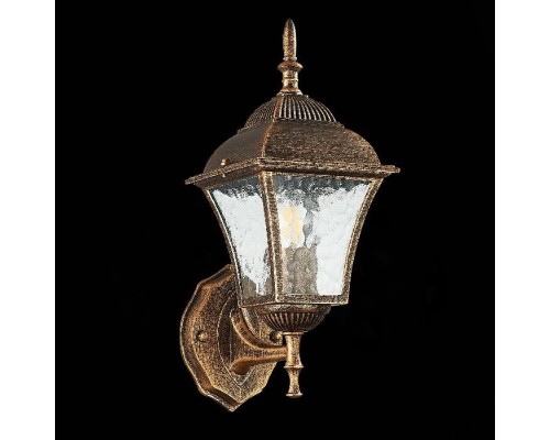 Настенный фонарь уличный Domenico SL082.201.01 ST Luce