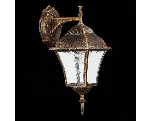 Настенный фонарь уличный Domenico SL082.211.01 ST Luce