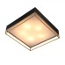 Потолочный светильник Chodo SL1127.422.05 ST Luce