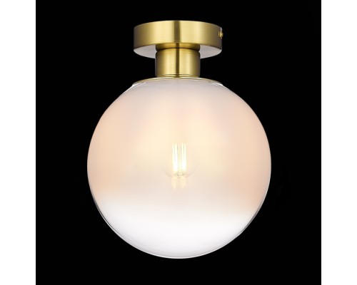 Настенно-потолочный светильник Cassius SL1190.202.01 ST Luce