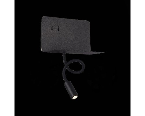 Настенный светильник Pinaggio SL1576.401.02 ST Luce