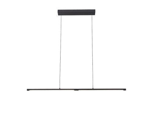 Подвесной светильник Ralio SL1580.403.01 ST Luce