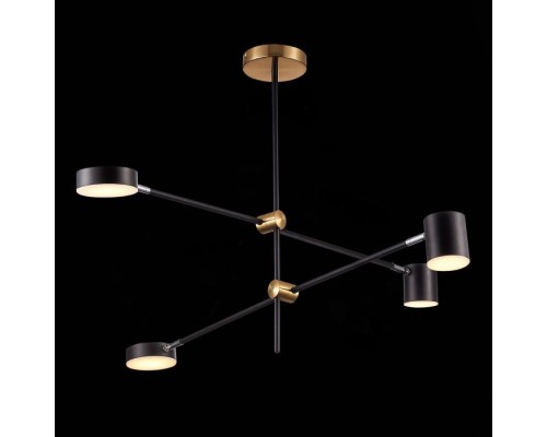 Потолочная люстра Rodrigo SL1604.432.04 ST Luce