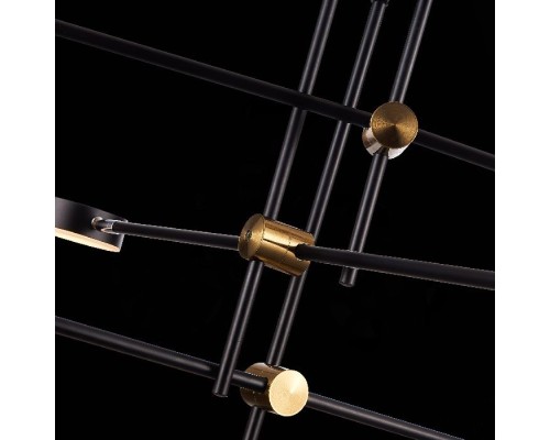 Потолочная люстра Rodrigo SL1604.432.06 ST Luce