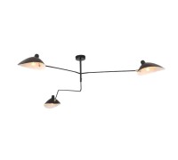 Потолочная люстра Spruzzo SL305.402.03 ST Luce