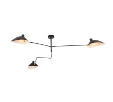 Потолочная люстра Spruzzo SL305.402.03 ST Luce